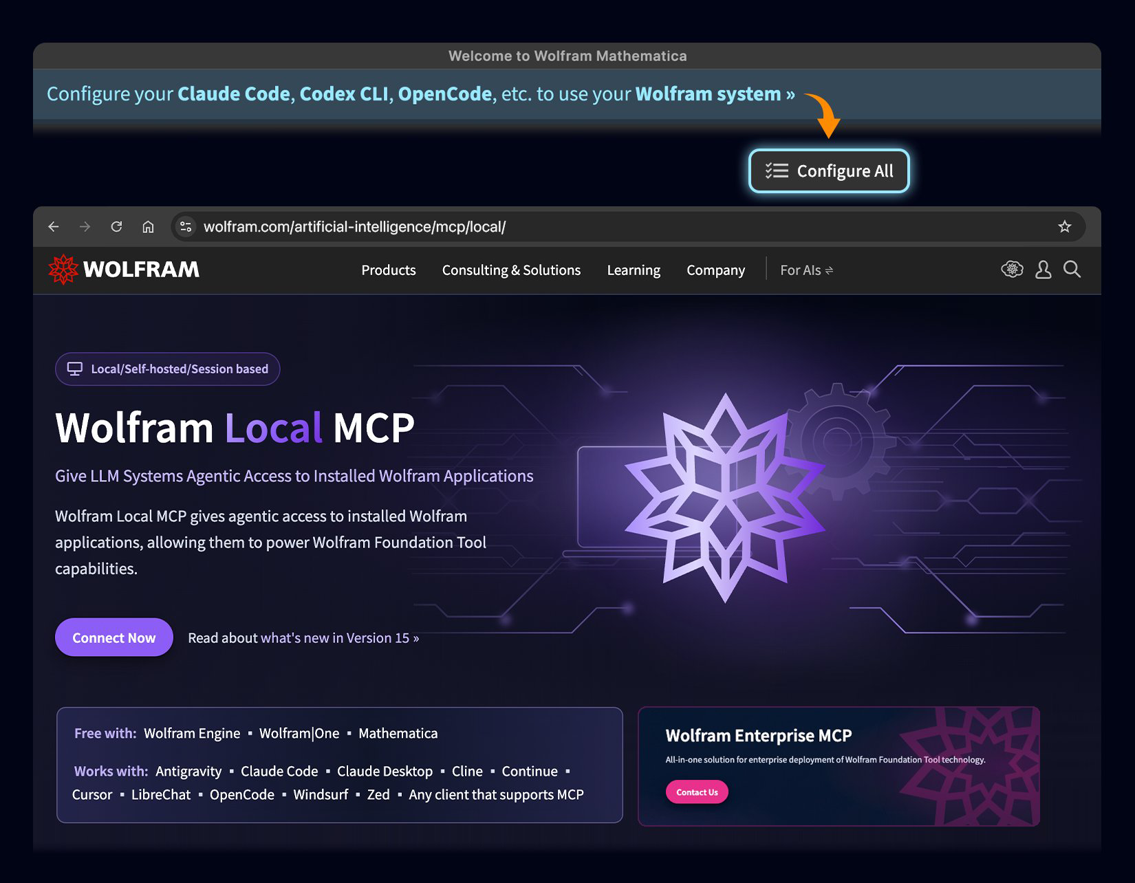 Wolfram Local MCP Wolfram Local MCP
