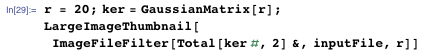 r = 20; ker = GaussianMatrix[r]; LargeImageThumbnail[ImageFileFilter[Total[ker #, 2] &, inputFile, r]]