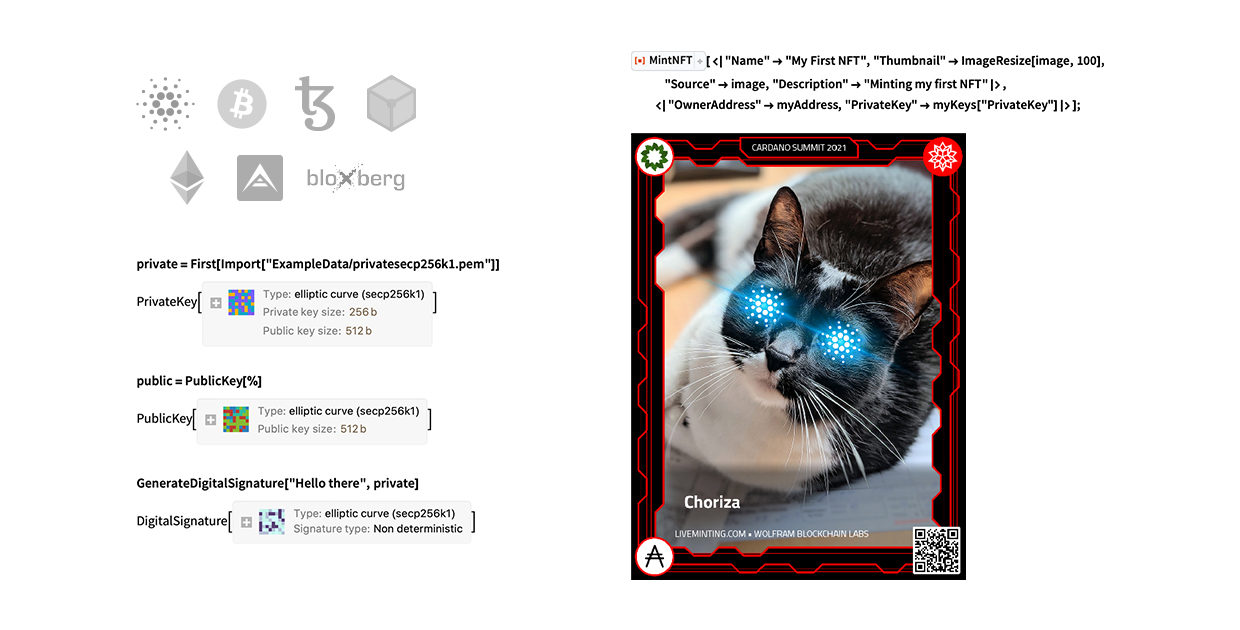 New in 13: Cryptography, Blockchains & NFTs—Wolfram Blog