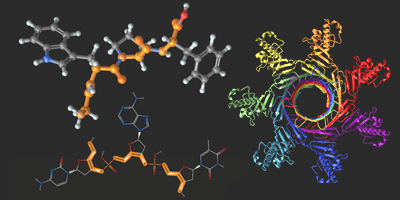 biology research ideas