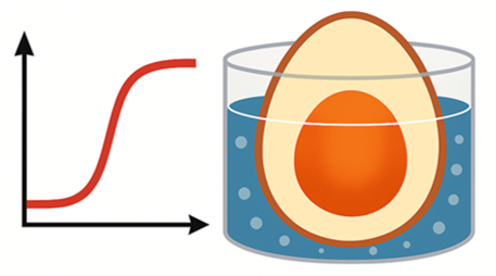 Model of the boiled egg