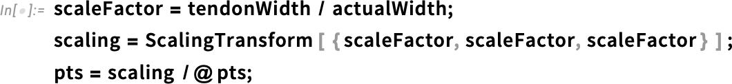 scaleFactor = tendonWidth scaleFactor = tendonWidth