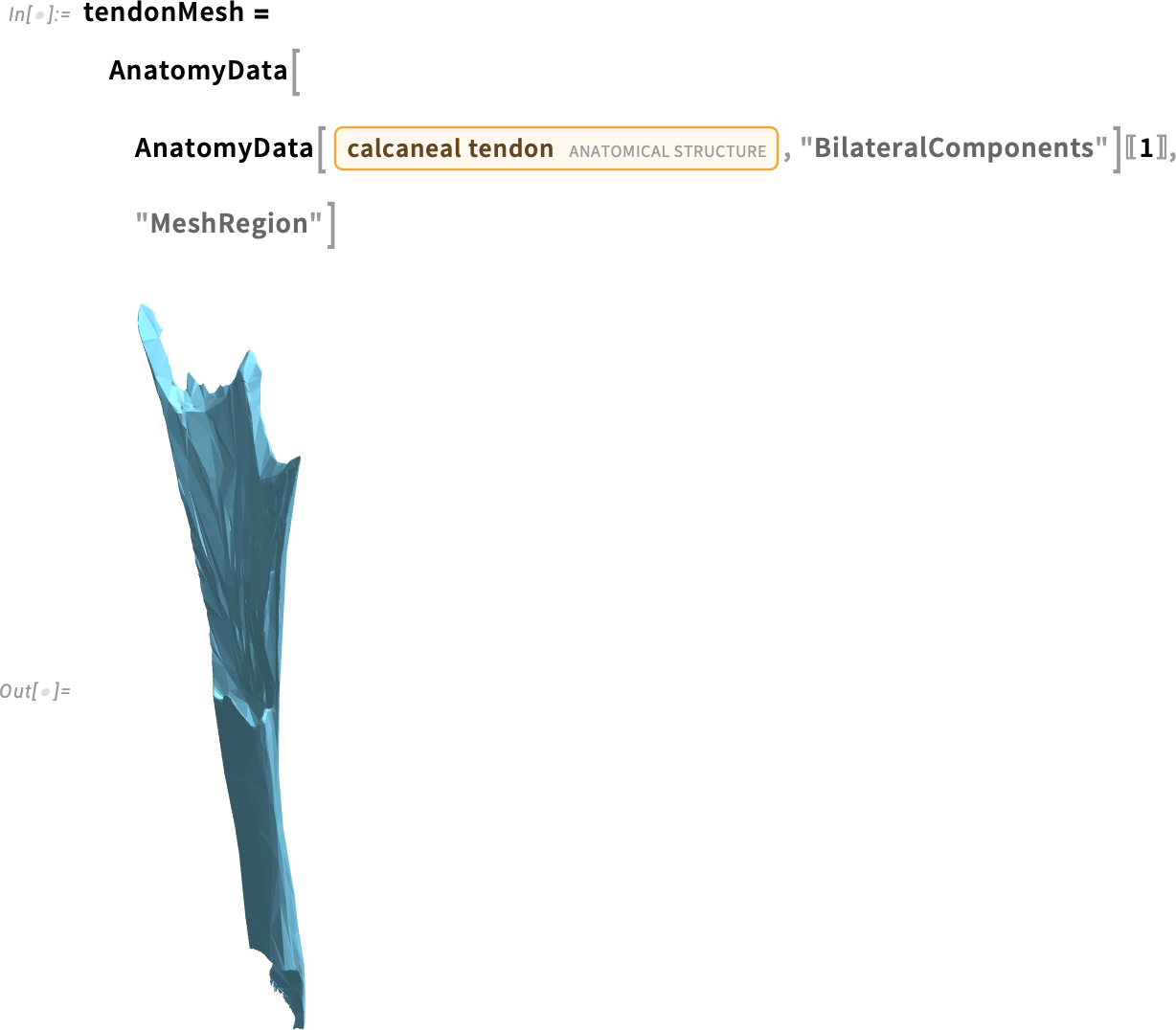 tendonMesh = tendonMesh =
