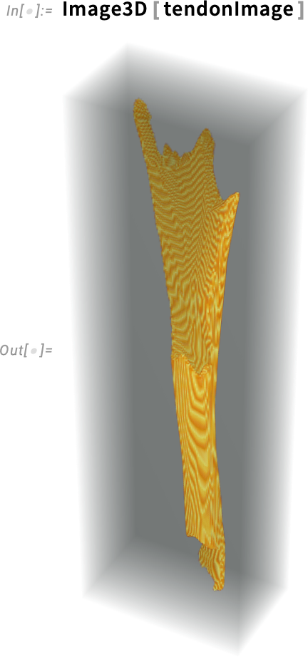 Image3D [tendonImage Image3D [tendonImage