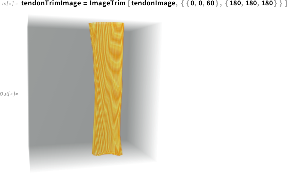 tendonTrimImage = ImageTrim tendonTrimImage = ImageTrim