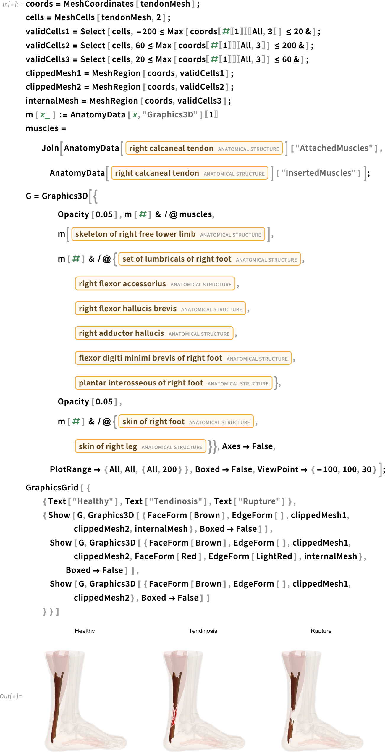 coords = MeshCoordinates [tendonMesh];