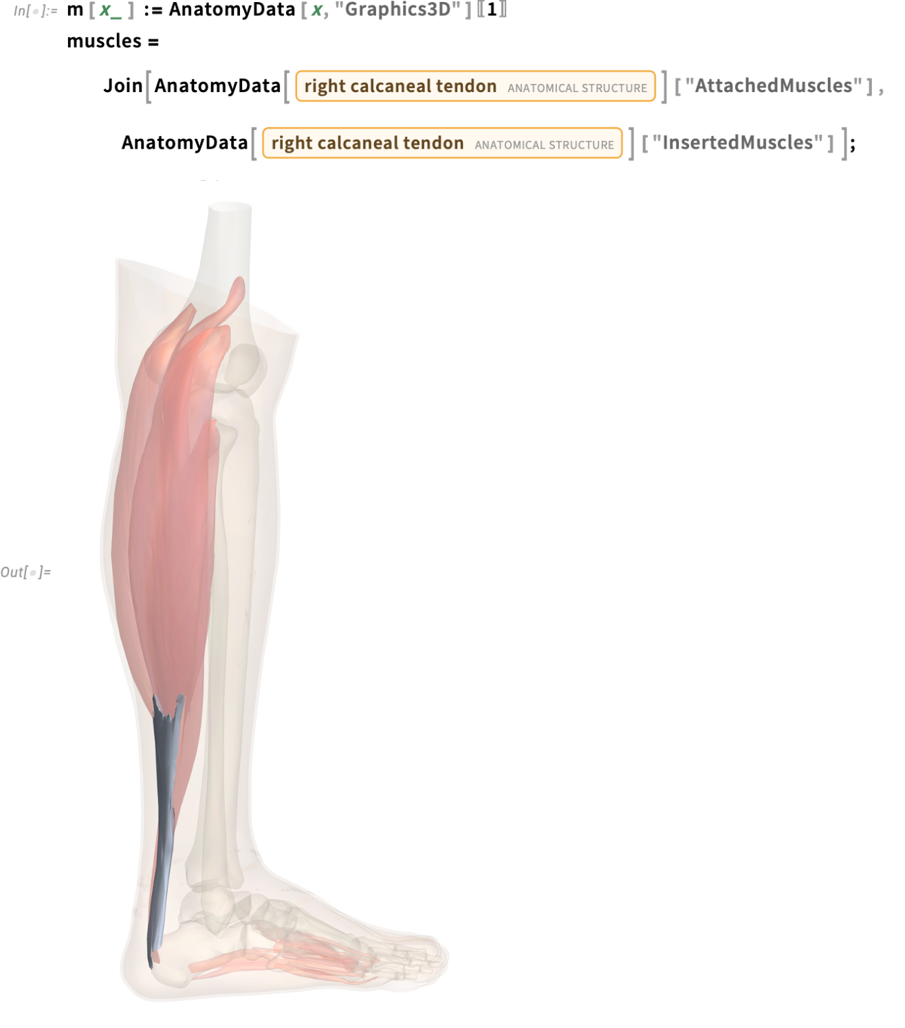 m[x_] := AnatomyData