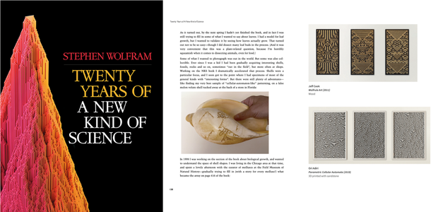 "Twenty Years of A New Kind of Science"