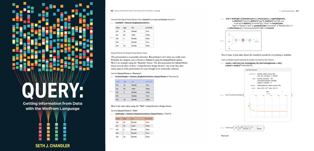 "Query: Getting Information from Data with the Wolfram Language"