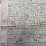 Very large document from Leibniz's archive