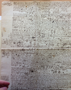 Very large document from Leibniz's archive