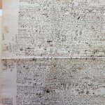 Very large document from Leibniz's archive