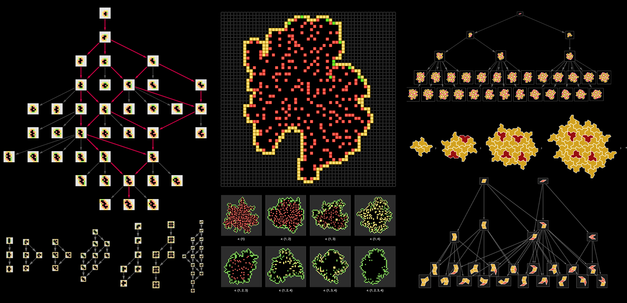 Simulation of the 2D and 3D Eden growth models up to time 10,000