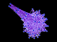 Moving Metaphysics from Philosophy to Science