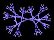 Observers in the Ruliad and the Laws of Nature