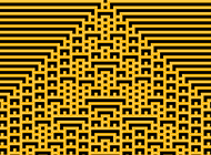 The Phenomenon of Computational Irreducibility