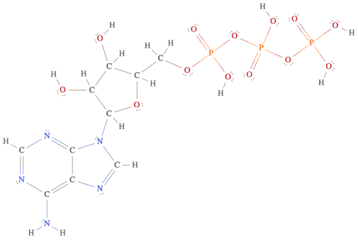 Lewis dot structure calculator wolfram worksheet