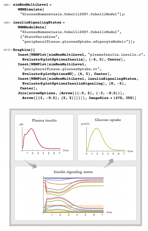 Diabetes signaling pathway image