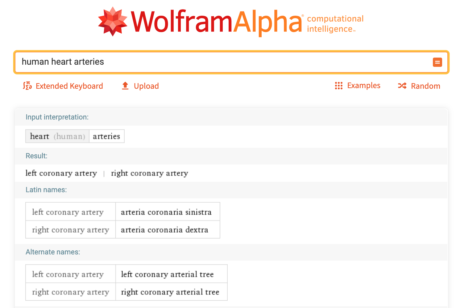 15 Ways Wolfram|Alpha Can Help with Your Classes—Wolfram Blog